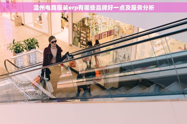 温州电商服装erp有哪些品牌好一点及服务分析