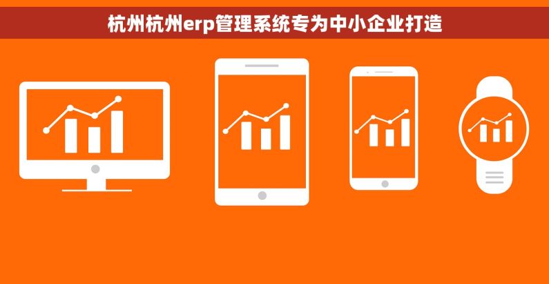 杭州杭州erp管理系统专为中小企业打造