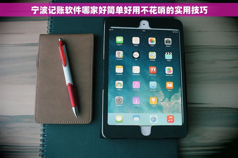 宁波记账软件哪家好简单好用不花哨的实用技巧