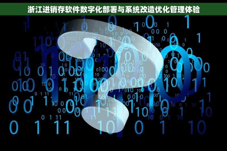 浙江进销存软件数字化部署与系统改造优化管理体验