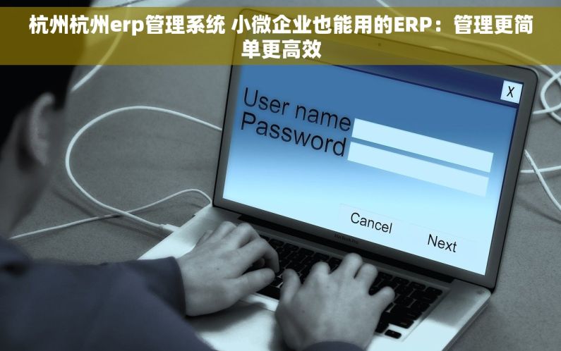 杭州杭州erp管理系统 小微企业也能用的ERP：管理更简单更高效