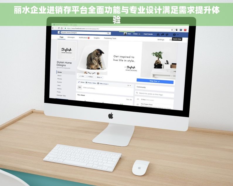 丽水企业进销存平台全面功能与专业设计满足需求提升体验