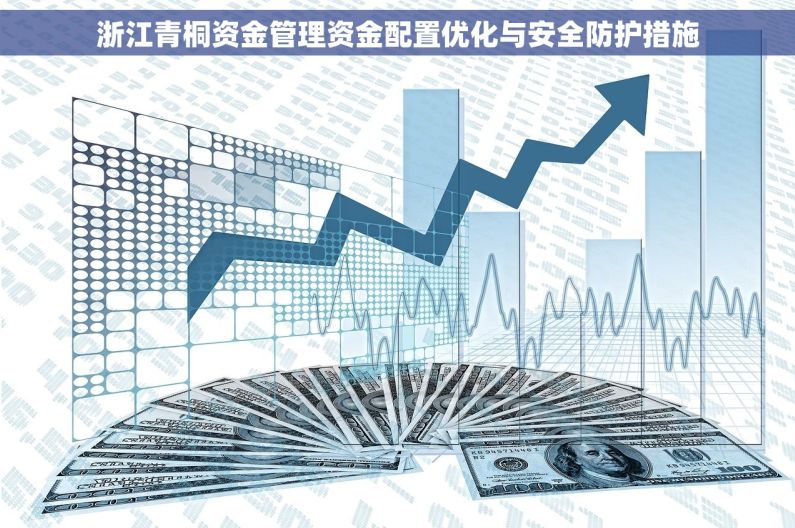 浙江青桐资金管理资金配置优化与安全防护措施