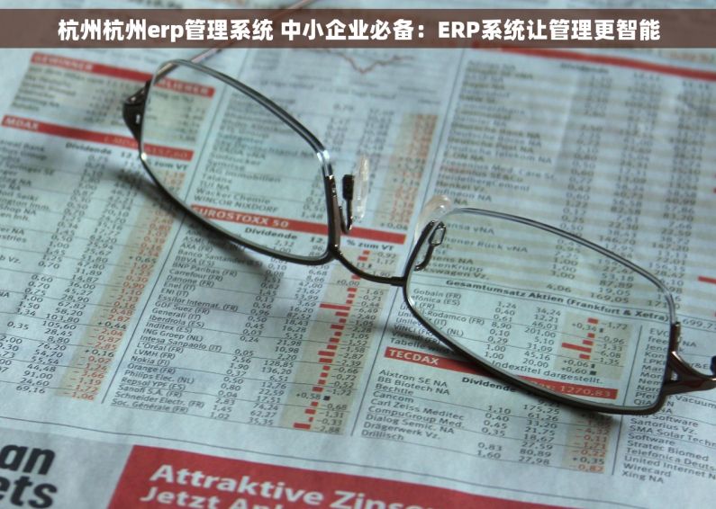 杭州杭州erp管理系统 中小企业必备：ERP系统让管理更智能