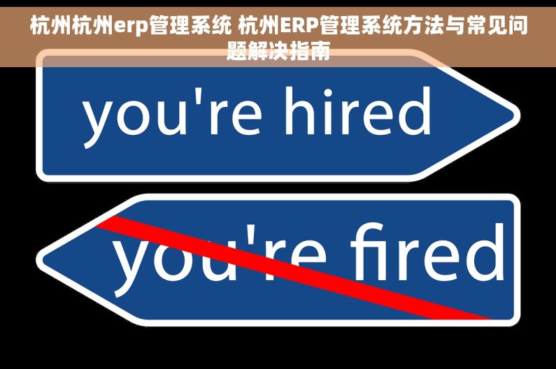 杭州杭州erp管理系统 杭州ERP管理系统方法与常见问题解决指南