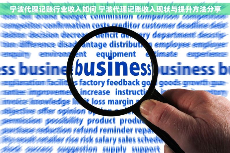 宁波代理记账行业收入如何 宁波代理记账收入现状与提升方法分享