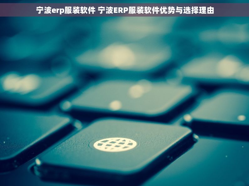 宁波erp服装软件 宁波ERP服装软件优势与选择理由