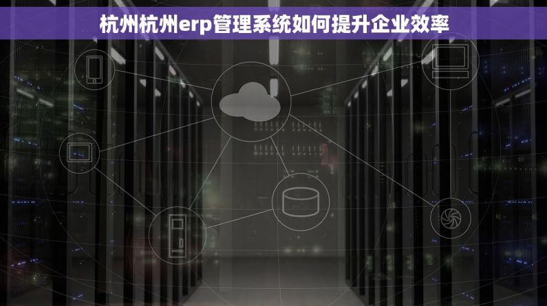 杭州杭州erp管理系统如何提升企业效率