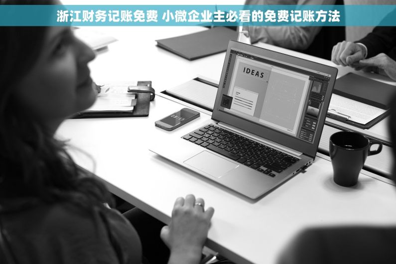 浙江财务记账免费 小微企业主必看的免费记账方法