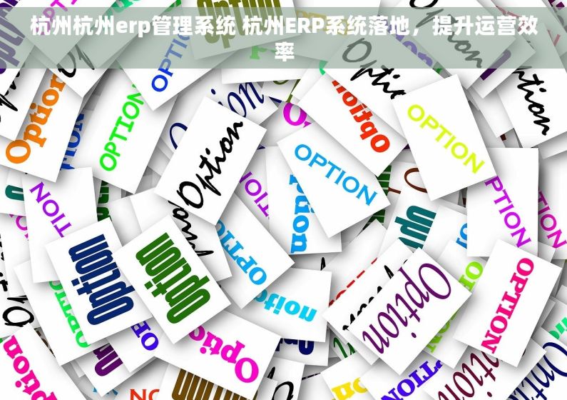 杭州杭州erp管理系统 杭州ERP系统落地，提升运营效率