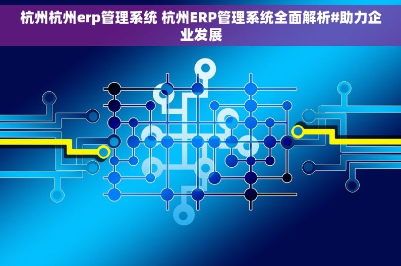 杭州杭州erp管理系统 杭州ERP管理系统全面解析#助力企业发展
