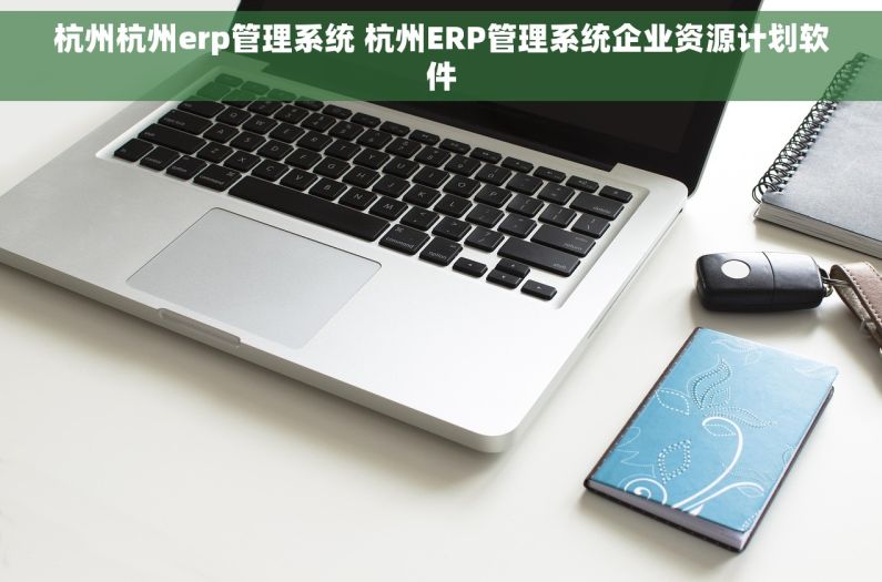 杭州杭州erp管理系统 杭州ERP管理系统企业资源计划软件