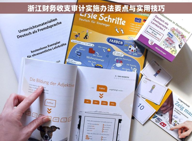 浙江财务收支审计实施办法要点与实用技巧