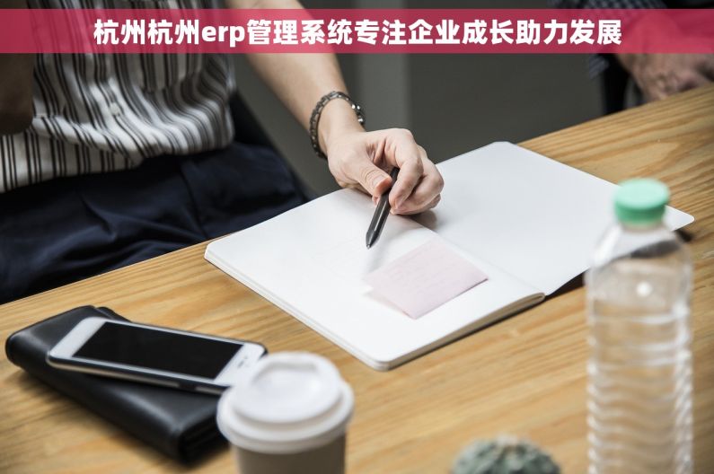 杭州杭州erp管理系统专注企业成长助力发展