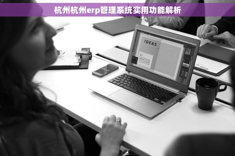 杭州杭州erp管理系统实用功能解析