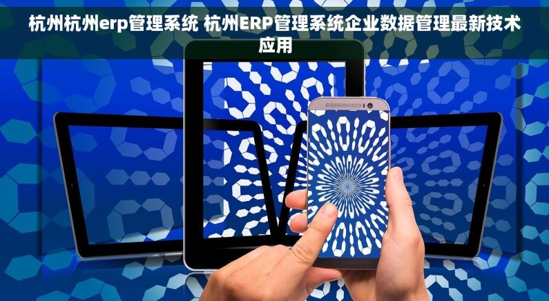 杭州杭州erp管理系统 杭州ERP管理系统企业数据管理最新技术应用
