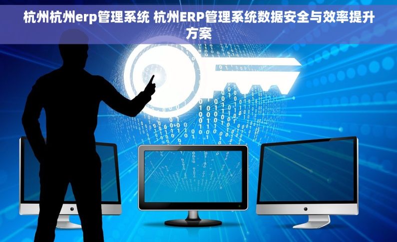 杭州杭州erp管理系统 杭州ERP管理系统数据安全与效率提升方案