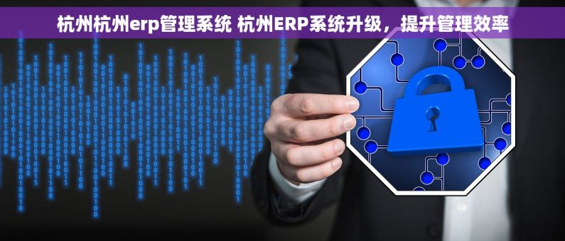杭州杭州erp管理系统 杭州ERP系统升级，提升管理效率