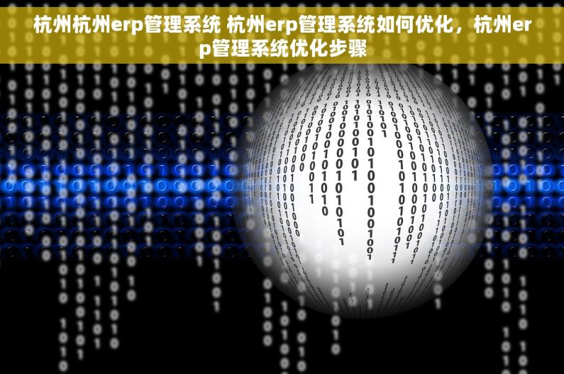 杭州杭州erp管理系统 杭州erp管理系统如何优化，杭州erp管理系统优化步骤