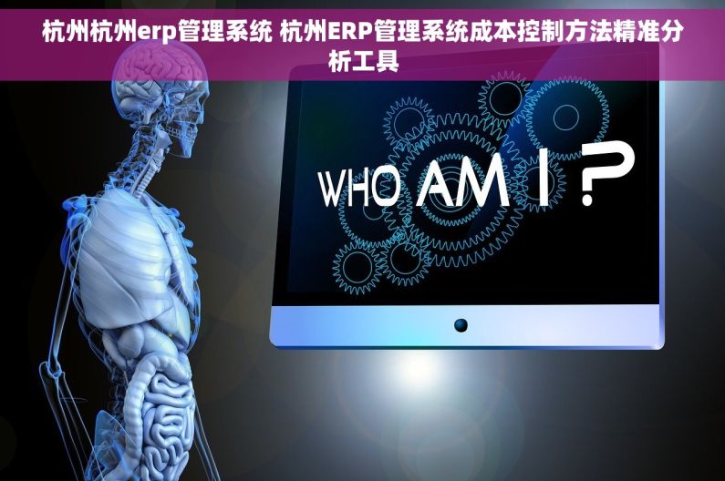 杭州杭州erp管理系统 杭州ERP管理系统成本控制方法精准分析工具