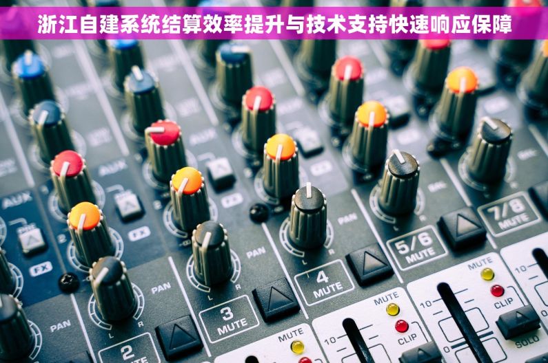 浙江自建系统结算效率提升与技术支持快速响应保障