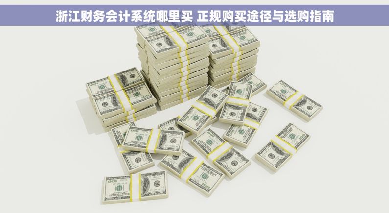 浙江财务会计系统哪里买 正规购买途径与选购指南