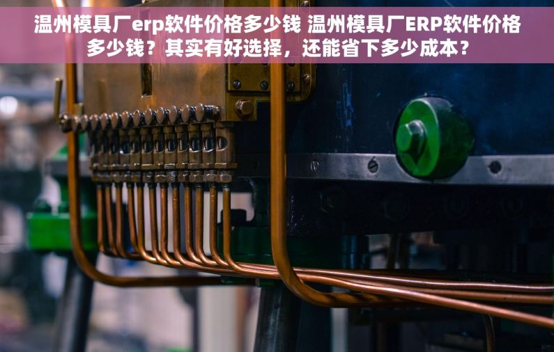 温州模具厂erp软件价格多少钱 温州模具厂ERP软件价格多少钱？其实有好选择，还能省下多少成本？