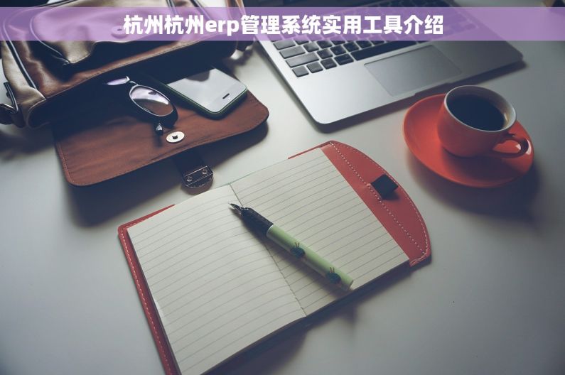 杭州杭州erp管理系统实用工具介绍