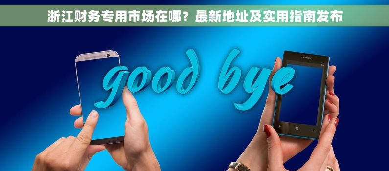 浙江财务专用市场在哪？最新地址及实用指南发布