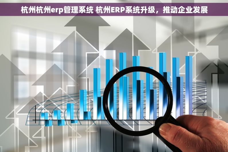 杭州杭州erp管理系统 杭州ERP系统升级，推动企业发展