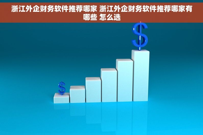 浙江外企财务软件推荐哪家 浙江外企财务软件推荐哪家有哪些 怎么选