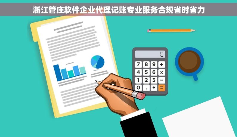 浙江管庄软件企业代理记账专业服务合规省时省力