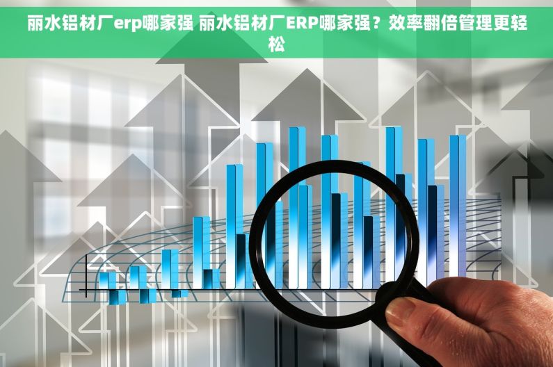丽水铝材厂erp哪家强 丽水铝材厂ERP哪家强？效率翻倍管理更轻松