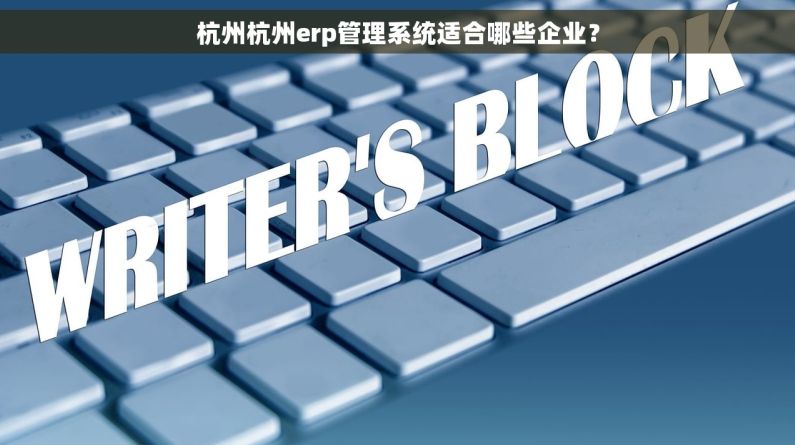 杭州杭州erp管理系统适合哪些企业？
