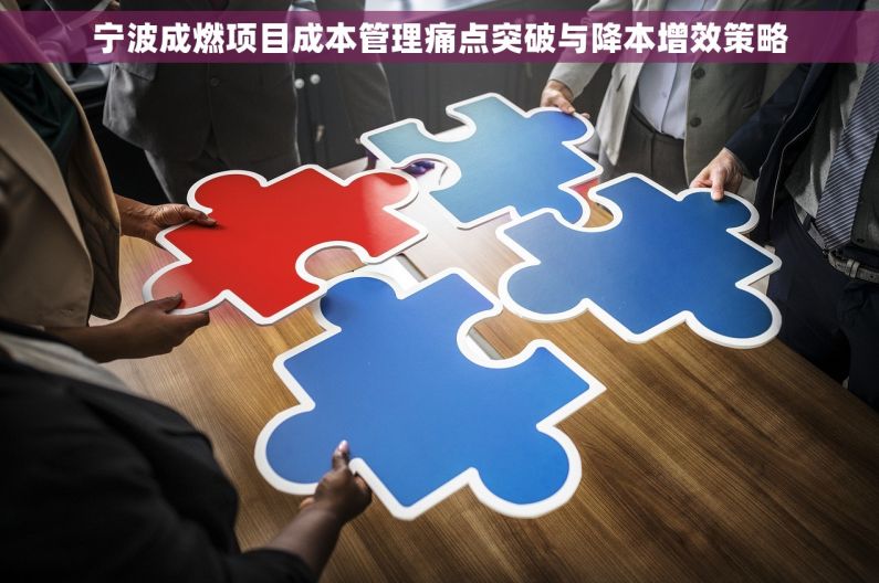 宁波成燃项目成本管理痛点突破与降本增效策略