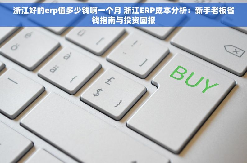 浙江好的erp值多少钱啊一个月 浙江ERP成本分析：新手老板省钱指南与投资回报