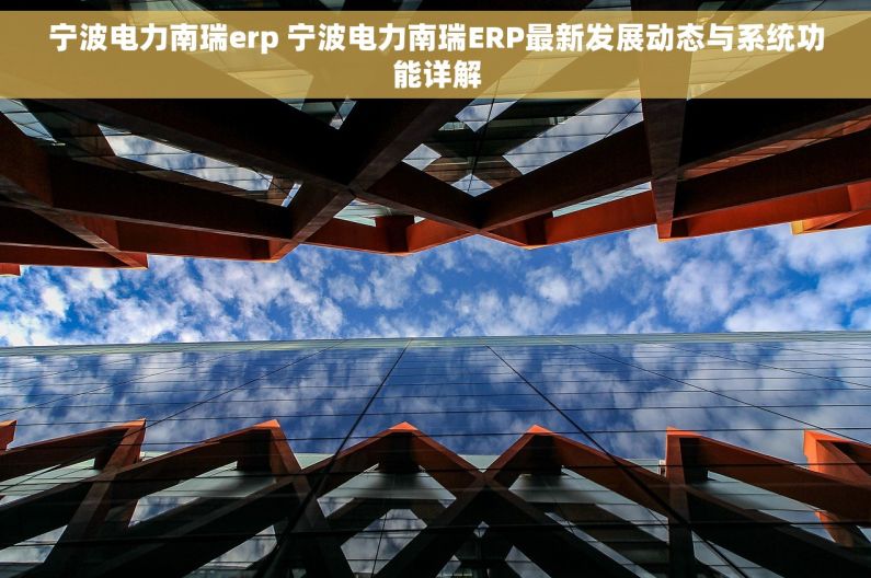 宁波电力南瑞erp 宁波电力南瑞ERP最新发展动态与系统功能详解