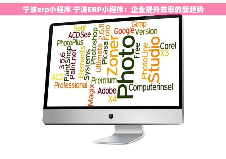 宁波erp小程序 宁波ERP小程序：企业提升效率的新趋势