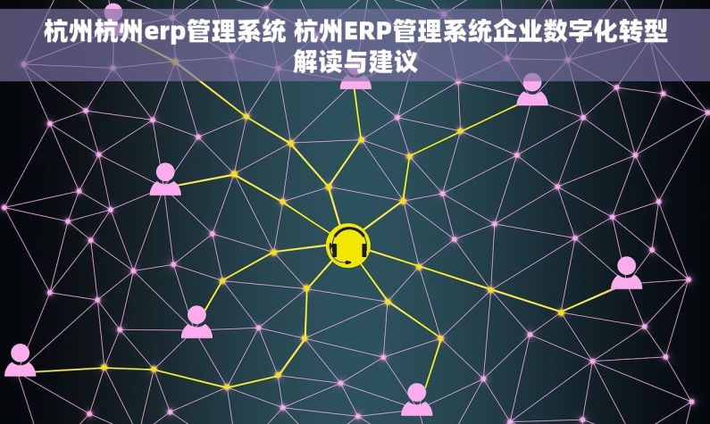杭州杭州erp管理系统 杭州ERP管理系统企业数字化转型解读与建议