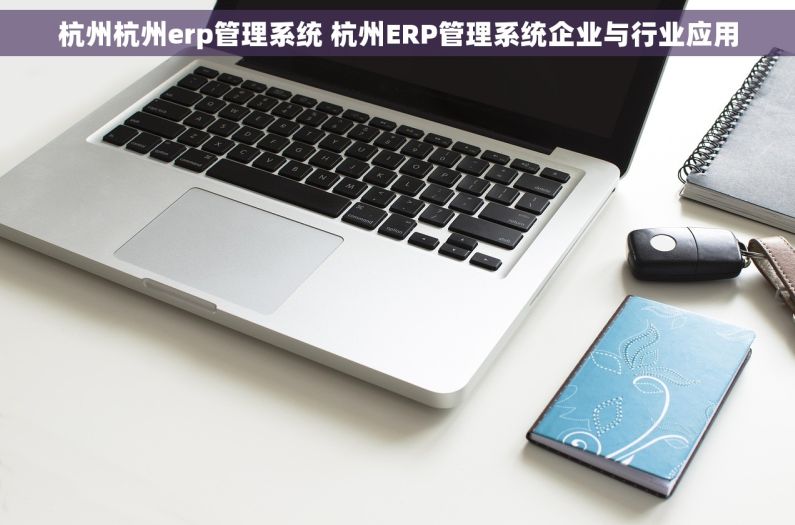 杭州杭州erp管理系统 杭州ERP管理系统企业与行业应用