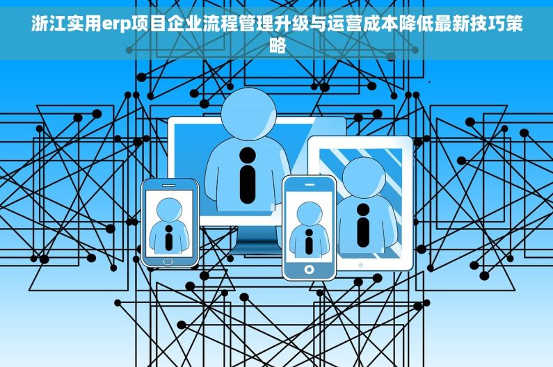 浙江实用erp项目企业流程管理升级与运营成本降低最新技巧策略
