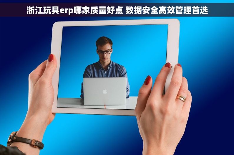 浙江玩具erp哪家质量好点 数据安全高效管理首选