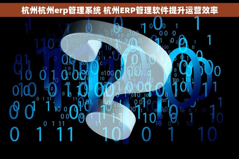 杭州杭州erp管理系统 杭州ERP管理软件提升运营效率