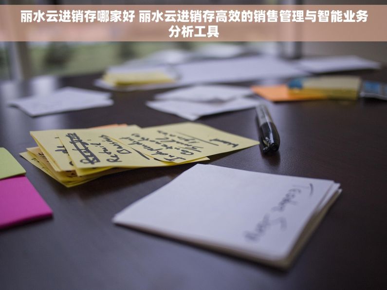 丽水云进销存哪家好 丽水云进销存高效的销售管理与智能业务分析工具