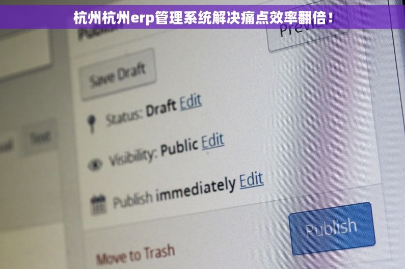 杭州杭州erp管理系统解决痛点效率翻倍！