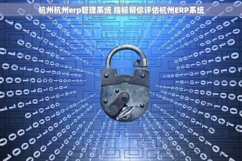 杭州杭州erp管理系统 指标帮你评估杭州ERP系统