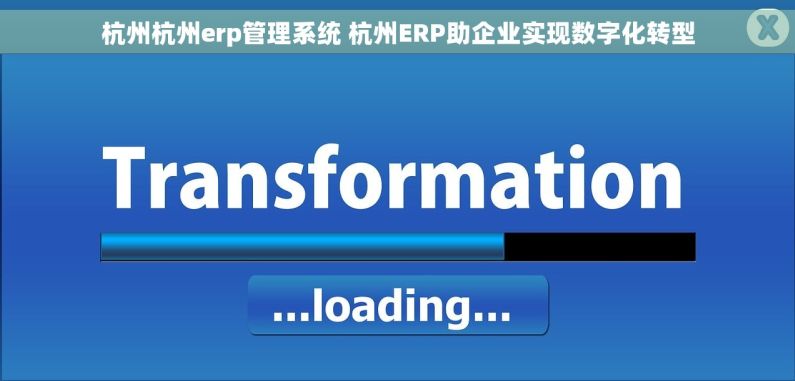 杭州杭州erp管理系统 杭州ERP助企业实现数字化转型