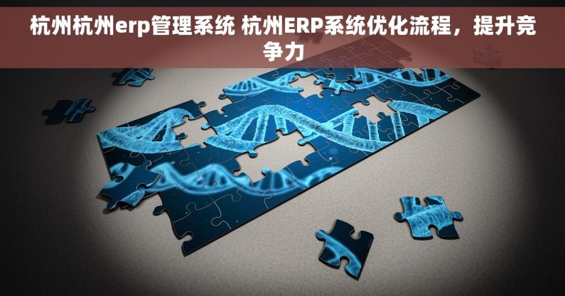 杭州杭州erp管理系统 杭州ERP系统优化流程，提升竞争力