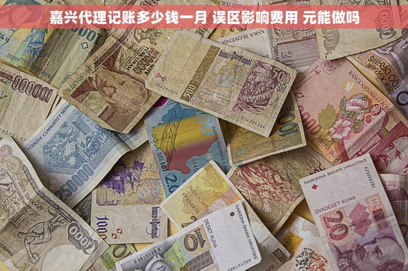 嘉兴代理记账多少钱一月 误区影响费用 元能做吗