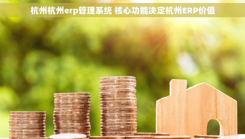 杭州杭州erp管理系统 核心功能决定杭州ERP价值